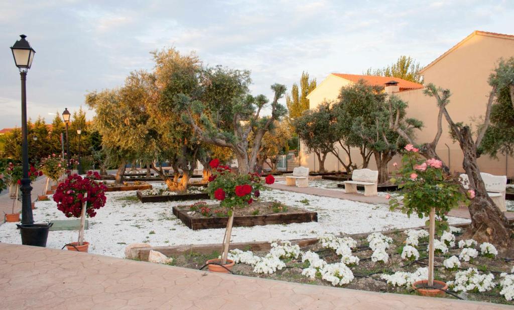 Las Olivas- Borox Aparthotel Seseña Nuevo Buitenkant foto